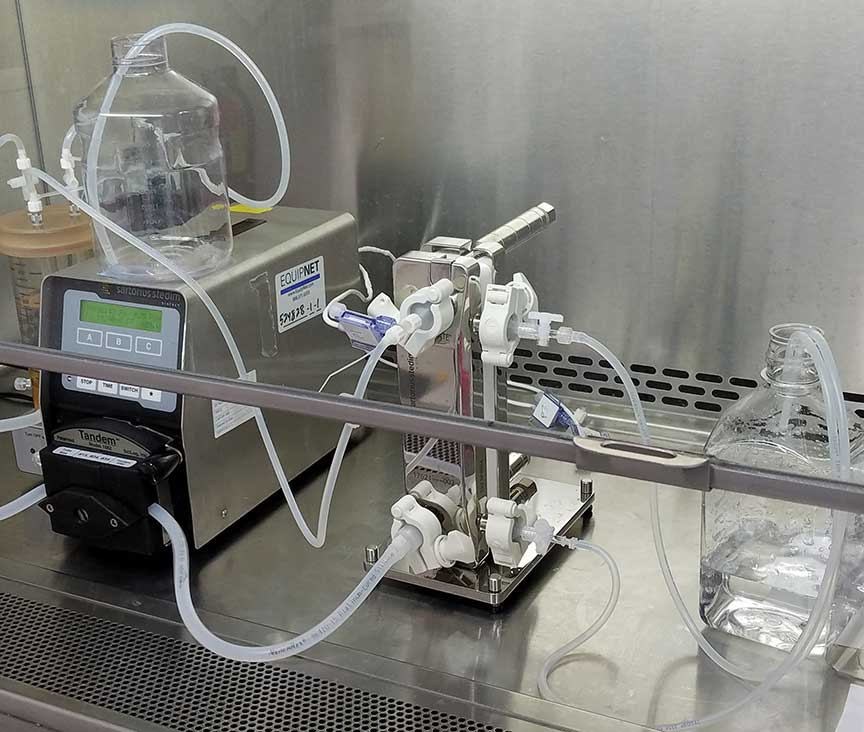 McNeil Scientific - GPP Services